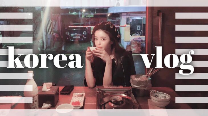 【韓国旅行】in釜山 韓国人の親友と穴場スポット巡り♡食べ飲み女子旅【vlog】