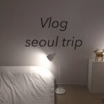 【Vlog】韓国旅行☁️ソウルpart1 東大門、梨泰院、漢江鎮カフェ
