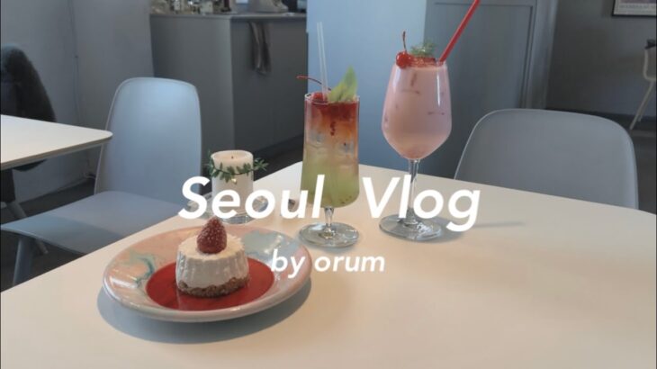 〔vlog〕年越し韓国旅行 #1 / 江南 聖水洞 / カフェ巡り コプチャンを食べる〔ソウル〕