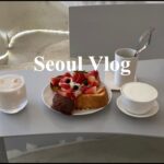 【Seoul Vlog】明洞 / 高速ターミナル / 弘大ショッピング / カフェ巡り