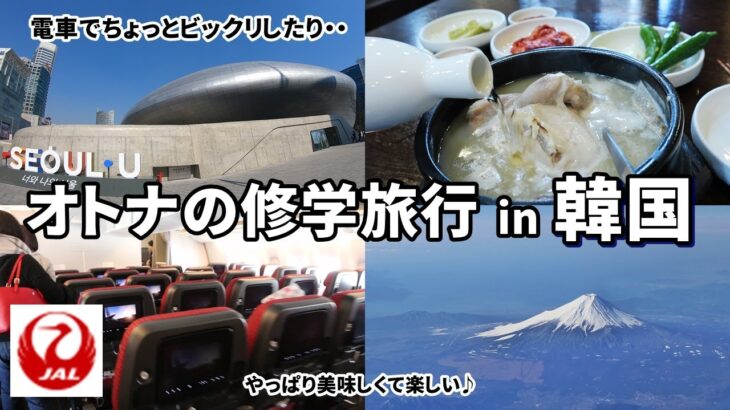 【オトナの修学旅行inソウル1】JALに乗って韓国へ  / 電車でビックリ！ / やっぱり美容に良い料理♪ Seoul Korea Vlog1 / March Travel まーちトラベルの旅動画