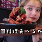 【Vlog】YouTube撮影の合間に韓国料理を食べに行く🇰🇷