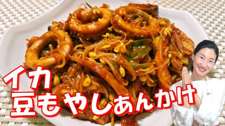 【韓国料理】🤣🤣韓国人気あんかけ料理【イカと豆もやしたっぷりのチム】ーびっくり！大量の豆もやしがぺろっと食べれちゃう！