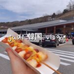 【韓国人vlog】韓国旅行 | 韓国のサービスエリア、お花見を楽しんで一日！韓国ストリートフード / 韓国コンビニ