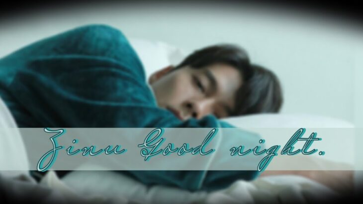 🍓Zinu Good night & BIRTHDAY🍓 #ヒョンビン #hyunbin #현빈