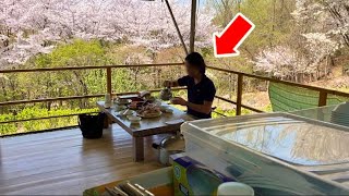 【韓国ソウル】満開の桜と至極の鶏料理‼️
