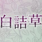 【公式】韓国ドラマ「白詰草＜シロツメクサ＞」DVD予告編
