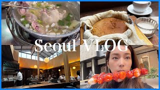 【Seoul Vlog】韓国旅行2022秋🇰🇷明洞,東大門でタッカンマリ,カフェふらふら☕️