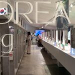 [vlog#11]in Seoul|韓国旅行part2は聖水（ソンス）散歩編|購入品と旅行バッグの中身紹介