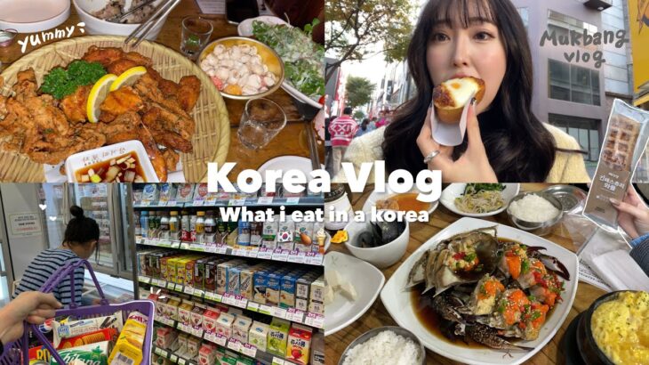 【Vlog】念願の韓国旅行🇰🇷💕韓国で過去一レベルの暴飲暴食‼️🍻💦ハプニングありの３泊４日👀おすすめグルメ、食べ歩き、買い物💸