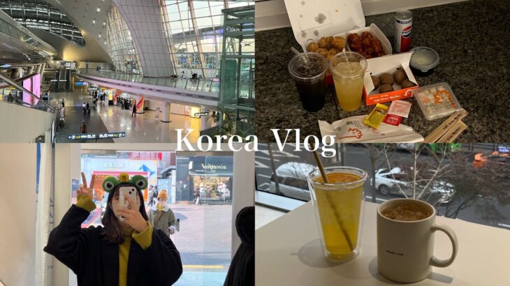 【韓国旅行Vlog】弘大｜漢江｜広蔵市場｜屋台グルメ｜ショッピング🛍 ハプニングだらけの2泊3日の韓国旅🇰🇷