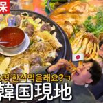 【新大久保】韓国の味すぎ！ソウルが恋しい時はやっぱりこのお店に行っちゃうよね。。料理全部美味しいッス！！