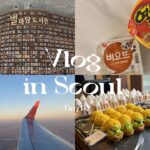 【韓国Vlog】初めての韓国ひとり旅行 Day1-2🇰🇷 / 4泊5日 / 安国 / 高速ターミナル / 漢江
