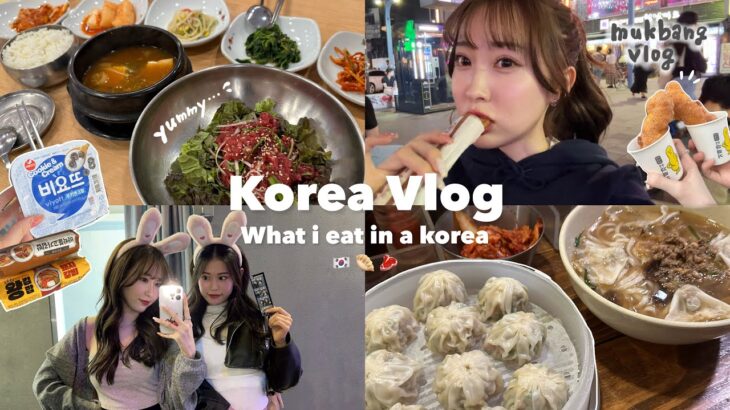 【Vlog】念願の韓国旅行🇰🇷✈️旅行中の胃袋は無限大🥟🍟💦大充実した２泊３日！オススメスポット、グルメ、買い物、食べ歩き🍻💕