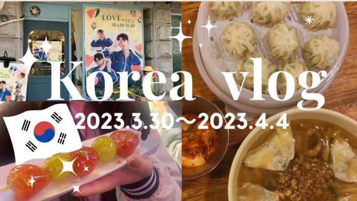 【韓国Vlog】家族で行く10回目の韓国旅行🇰🇷5泊6日ツアーにご案内します🌷✨
