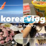 【韓国Vlog】3年ぶりの韓国で2泊3日🇰🇷/ 韓国ソウルのグルメやカフェを大満期する旅#01