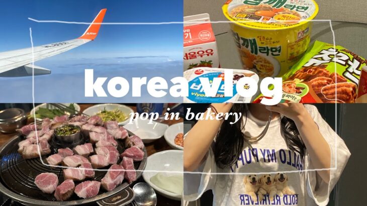 【韓国Vlog】3年ぶりの韓国で2泊3日🇰🇷/ 韓国ソウルのグルメやカフェを大満期する旅#01