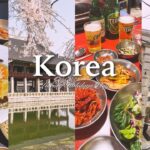 【韓国旅行vlog】3泊4日のソウル大人旅を最新情報と共にお届けします♪観光/絶品グルメ/買い物