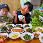 【韓国料理】これ日本！韓国の僧侶がイチから全て作るおかず達が家庭料理史上最高すぎて一瞬で身体が元気になった。まじで米が止まらない…涙