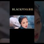 BLACKPINK身長🌈スタイル良すぎる！#blackpink #kpop #韓国 #アイドル#LiSA #ジェニー#ロゼ#ジス