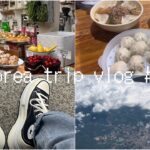 4泊5日の韓国旅行vlog🇰🇷 #3