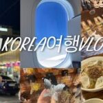 【韓国vlog】2泊3日のソウル旅🇰🇷明洞餃子🥟東大門ナイトショッピング🛍️nyunyuとくつ＆カバン卸市場👡