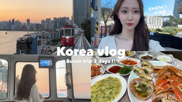 【Vlog】念願の釜山に韓国旅行！✈️🇰🇷ハプニングまみれの１泊２日💦美味しすぎる旬のカニ🦀絶景スポット🌉✨