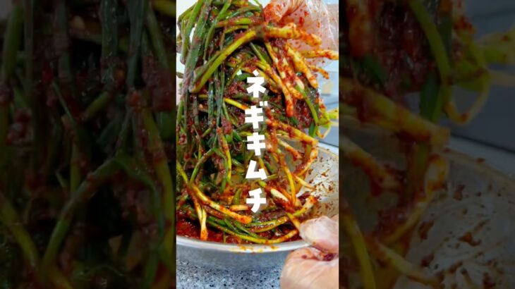 【韓国人旦那が作る激うま韓国料理】#韓国料理#ネギキムチ#파김치