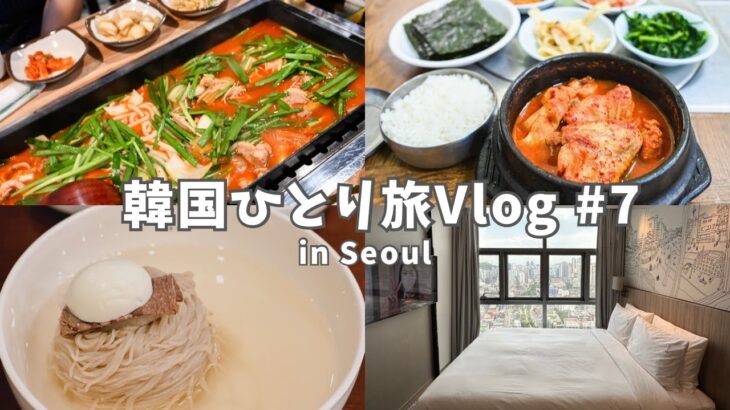 【韓国Vlog】おひとり様ランチ、弘大ホテルレビュー、絶品鴨肉料理など、帰国までを一気にお届け！  #35