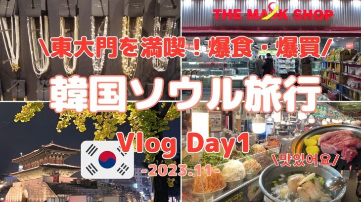 【韓国旅行Vlog】Day1 | 東大門を満喫 | 爆食 タッカンマリ/サムギョプサル/広蔵市場 | 爆買 NYUNYU/THE MASK SHOP/NPH | 東大門おすすめホテル 23年11月