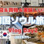 【韓国旅行Vlog】Day2 美容と買い物と美味しいもの | 東大門とカロスキル江南 |  ソウル女子旅 23年11月