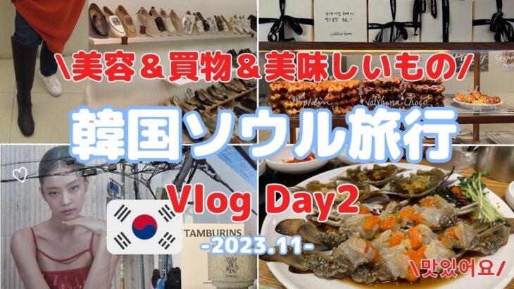 【韓国旅行Vlog】Day2 美容と買い物と美味しいもの | 東大門とカロスキル江南 |  ソウル女子旅 23年11月