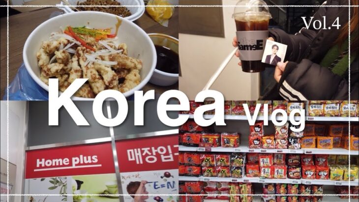 【韓国旅行vol.4】スーパーHome plusでお買い物とジャージャー麺&タンスユク&チキンで出前パーティーvlog🇰🇷