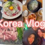【韓国】2023年4回目の渡韓Vlog  現地集合現地解散の旅　極寒の中今回も爆食爆買で大満足旅行