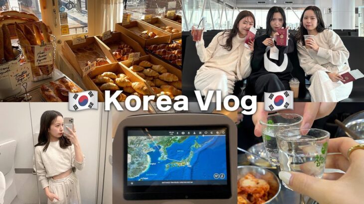 【韓国Vlog】真冬のソウル大満足な2泊3日✈️🇰🇷人気&穴場カフェとグルメにショッピング🛒/Korea