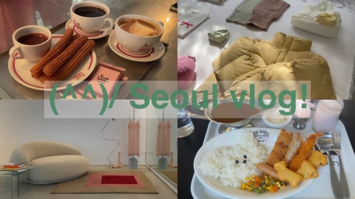 seoul vlog 2 / 韓国旅行vlogパート2❣️人気のカフェとお洋服のショッピングな1日❣️❣️行ったところ全部可愛くて可愛いしか言ってない❣️あほそうな1本❣️❣️❣️
