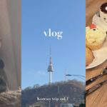 【韓国vlog】2泊3日韓国旅行🇰🇷vol.1🎄カフェ•ショッピング•人気スポットを巡る旅