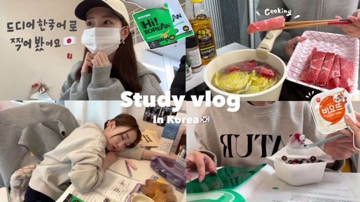 【Study vlog】韓国留学生のテスト期間📖 約半年でどれぐらい話せる？🇰🇷ついに現在の語学力を披露🗣️韓国語勉強方法📚✍🏻
