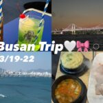 3泊4日の釜山旅行🌊🤍 カフェ / ヨットツアー / 食べ歩き / greekyoghurt