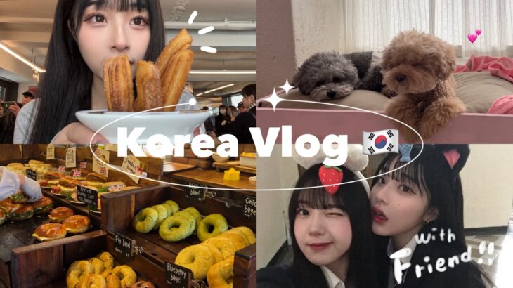 【VLOG】友達と行く韓国vlog🇰🇷✧︎完璧で最高すぎるプラン🗺️✈️カフェ巡りやショッピング🛍,ロッテワールドなどなど🎠3泊４日旅〜韓国に行ったらここに行くべき‼️
