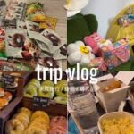 【主婦vlog】家族で韓国旅行🇰🇷 購入品紹介👟
