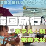 【旅費金額大公開】子連れ韓国旅行！ぶっちゃけいくらかかるの？子連れ旅行。初海外旅行。BTSの聖地？飛行機の対策。