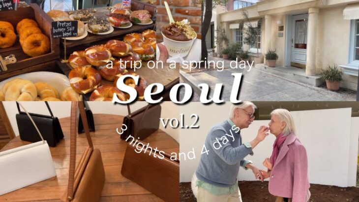 【韓国Vlog】3泊4日の韓国旅行vol2✈️🇰🇷|安国|景福宮|延南洞|梨泰院|漢南洞|聖水