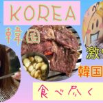 【韓国グルメ旅】韓国激ウマ料理食べまくり 《episode1》