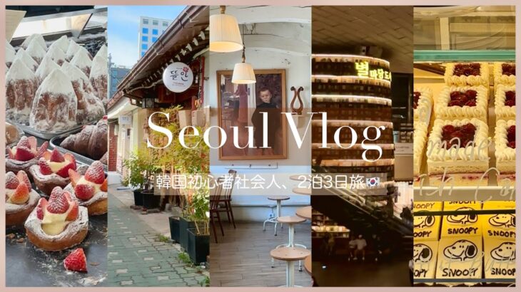 【vlog】韓国初心者の2泊3日旅vlog｜カフェと美味しいものとお買い物｜ひとり暮らし社会人【Seoul Trip】