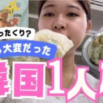 [韓国一人旅🇰🇷]ホンデと東大門でショッピング🛍️/New Jeansのポップアップストア🐰/ジャージャー麺/ピョルマダン図書館📚