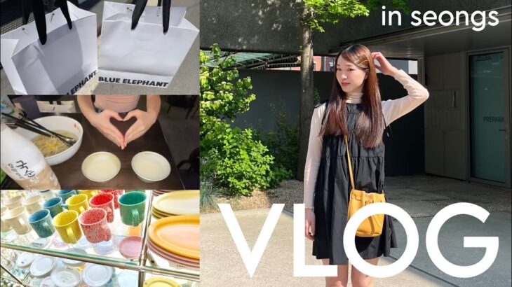 [Vlog]韓国留学生の週末Vlog🇰🇷　inソンス