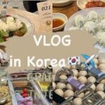 【Vlog】#koreavlog #韓国旅行 #soul#ショッピング#グルメ #明洞#狎鴎亭#韓国カフェ