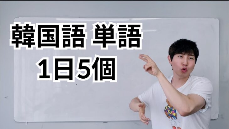 韓国語の単語1日5個だけ一緒に暗記しましょう！100日後ネイティブのように話せる！