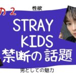 第二弾【StrayKids】禁断の話。男性としての魅力・本能がすごいのは８人のうち誰？性欲・アダルトな魅力ランキングを勝手に発表。こういう話題に抵抗ある方は見ない選択を【スキズ・ストレイキッズ】